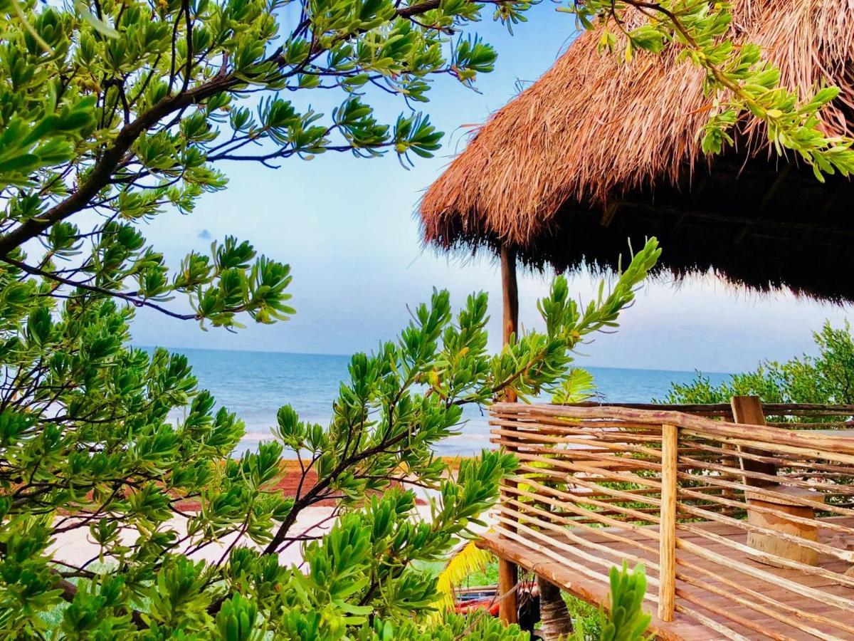 Casa Pelicanos Tulum Beach Mx - Next To Hotel Zone Esterno foto