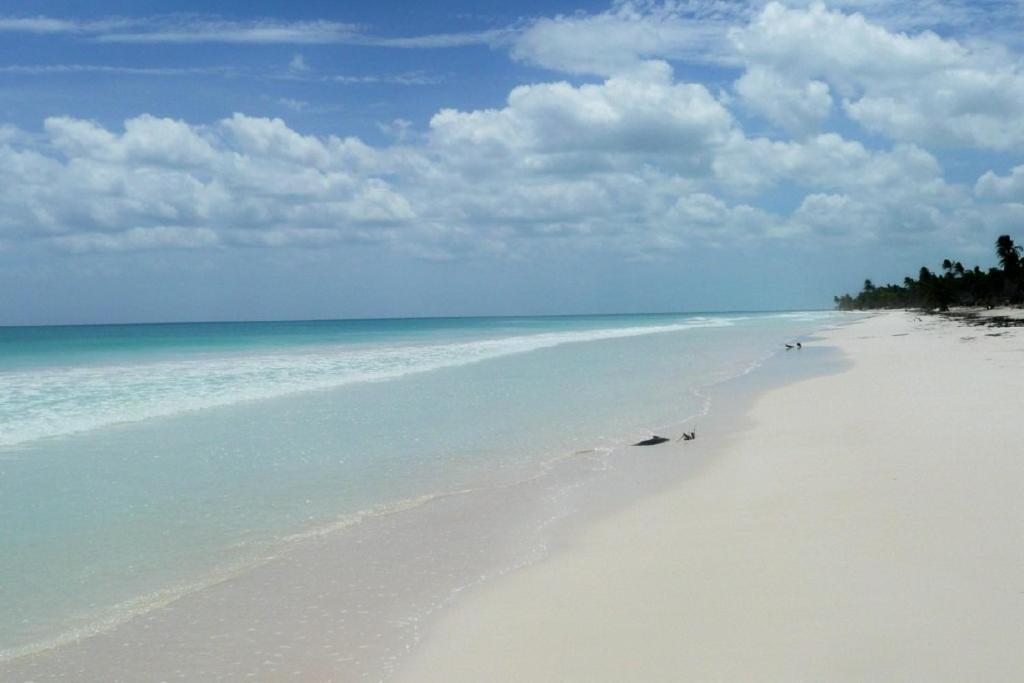 Casa Pelicanos Tulum Beach Mx - Next To Hotel Zone Esterno foto